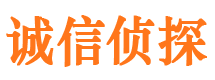 静海寻人公司